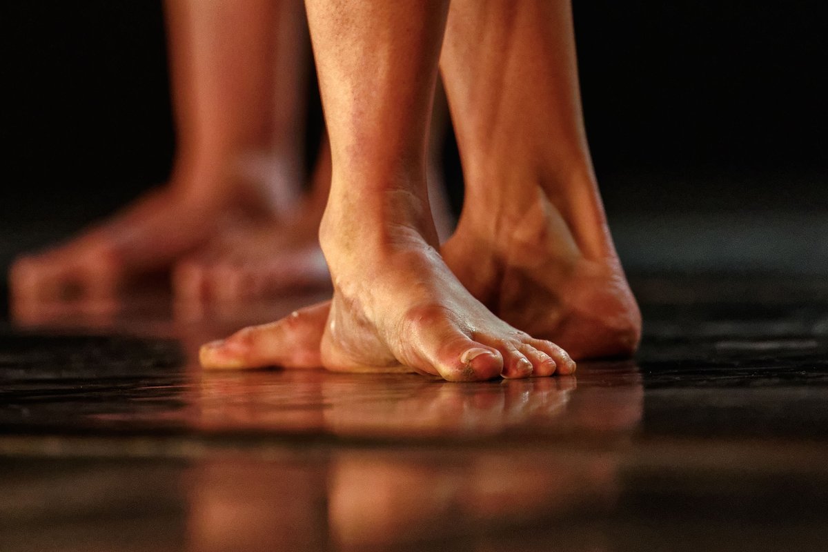 Dance 31