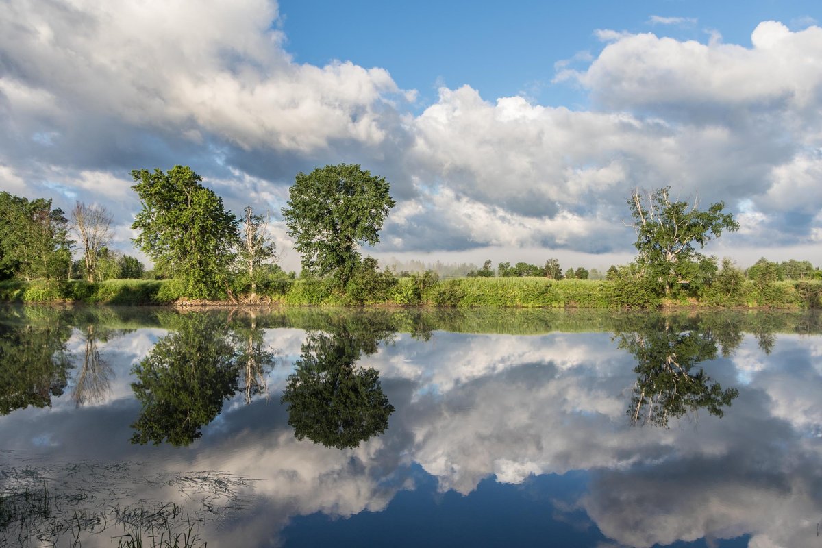 Landscapes 3