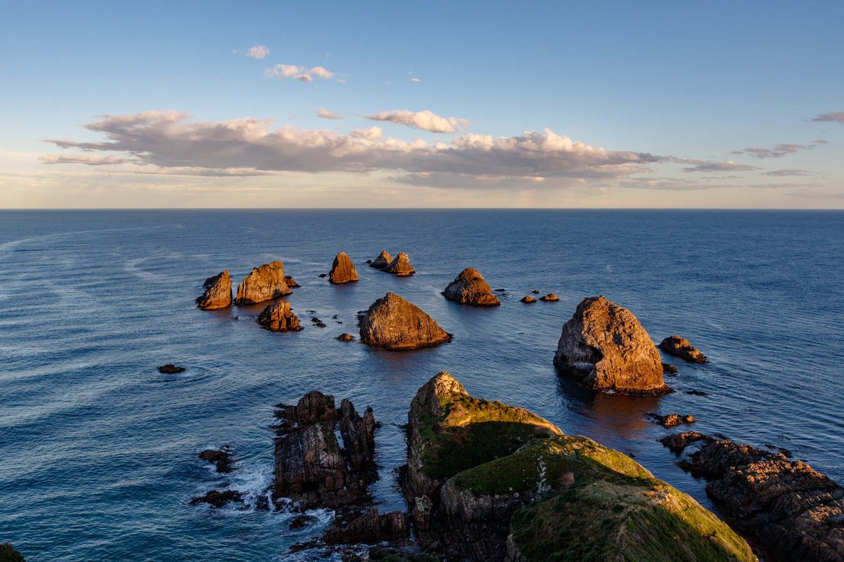 New Zealand 28